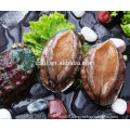 Frozen abalone in shell on sale